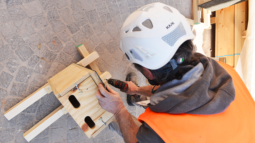 foto articolo Installati i nidi artificiali per i rondoni: San Francesco un cantiere eco-sostenibile