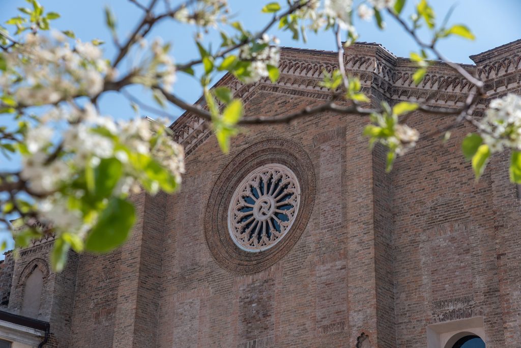 foto articolo Laudato Sì Generation: San Francesco, i giovani e la Custodia del Creato
